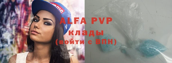 ГАЛЛЮЦИНОГЕННЫЕ ГРИБЫ Корсаков