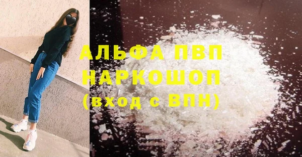 ГАЛЛЮЦИНОГЕННЫЕ ГРИБЫ Корсаков