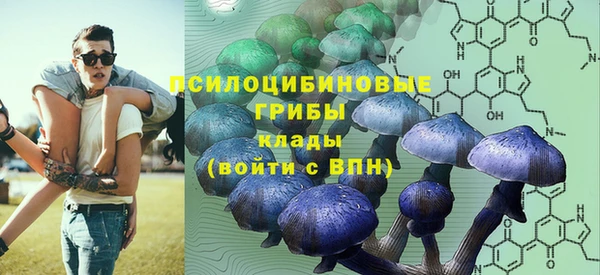ГАЛЛЮЦИНОГЕННЫЕ ГРИБЫ Корсаков