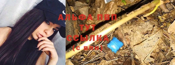 ГАЛЛЮЦИНОГЕННЫЕ ГРИБЫ Корсаков