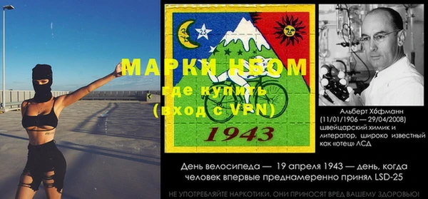 гашик Коряжма