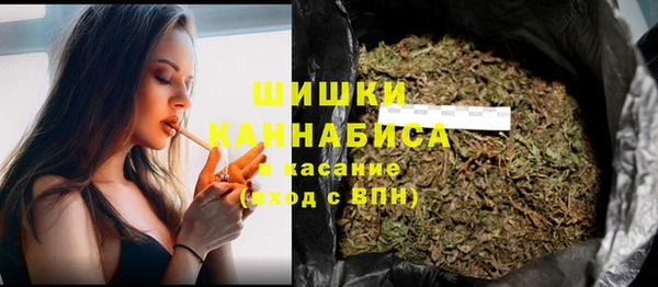 ГАЛЛЮЦИНОГЕННЫЕ ГРИБЫ Корсаков