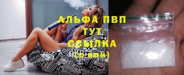 гашик Коряжма