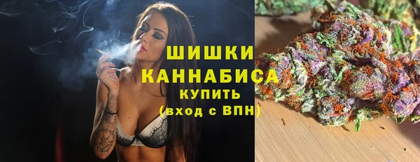 гашик Коряжма