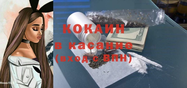 ГАЛЛЮЦИНОГЕННЫЕ ГРИБЫ Корсаков