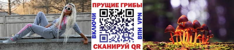 Купить закладки  Лодейное Поле  Галлюциногенные грибы MAGIC MUSHROOMS 
